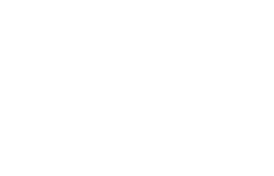 SWF Projektbau Logo